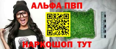 стафф Кандалакша