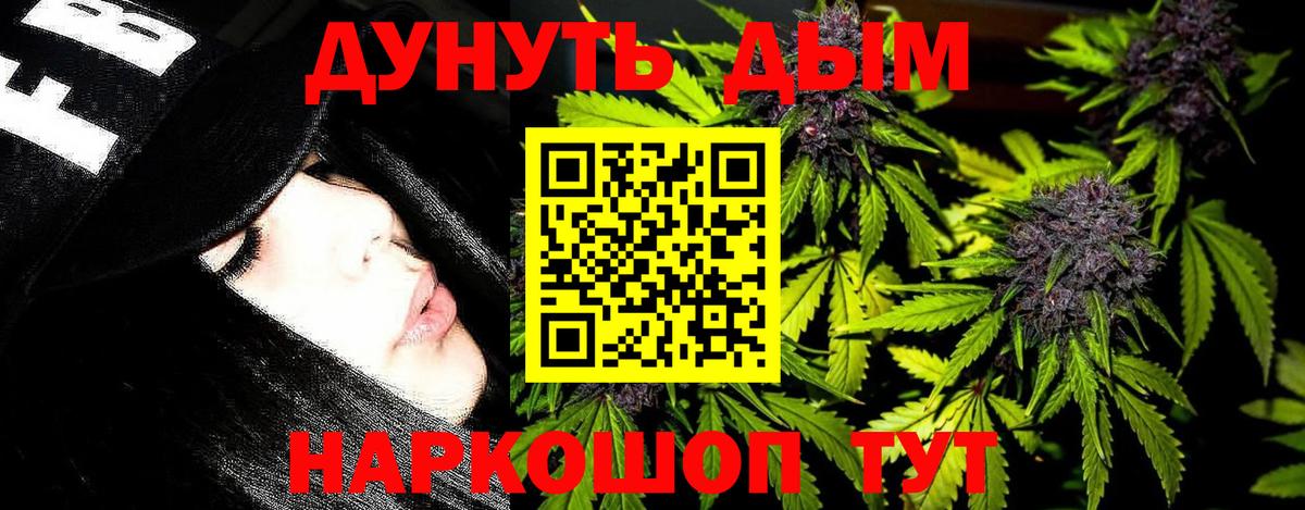 Конопля OG Kush  Вход с VPN  Чайковский  МАРИХУАНА планчик  Бошки марихуана White Widow 
